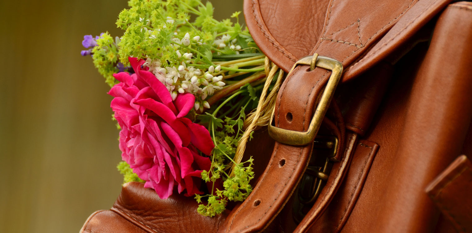 Anti-mold for Leather Goods