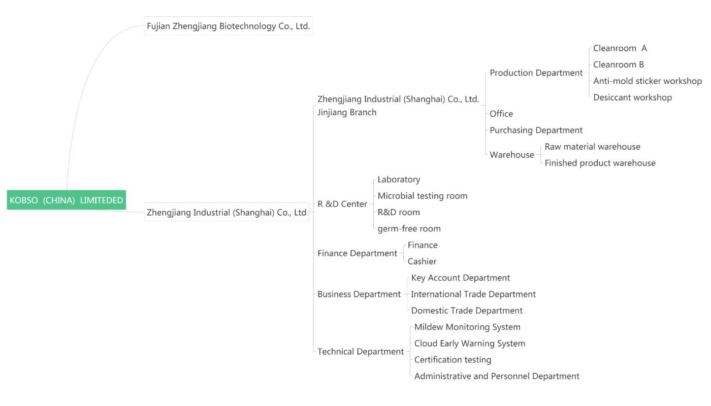 KOBSO Company Structure